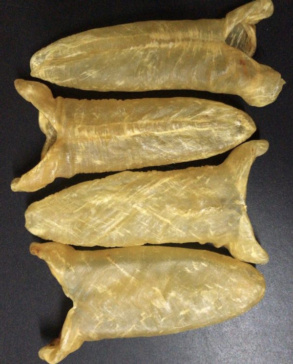 花膠～鴨包肚 (个头：約13-14隻/600克 至 約4-5隻/600克)【只限香港地區】