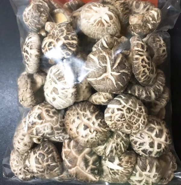 脫水原木菇（只限香港地區）