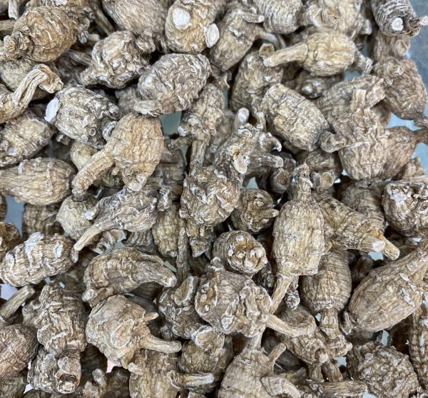 美國原粒四號泡參(限香港发貨)每両380元（每両約37.5克）