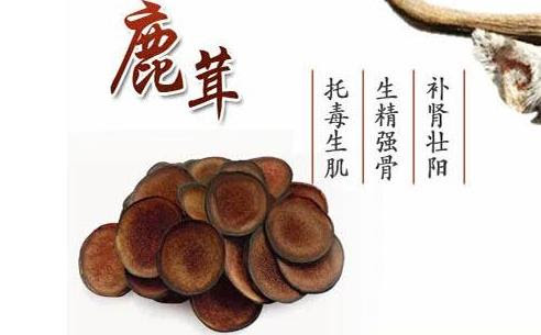 特級吉林鹿茸鋸嘴片 (限香港发貨)每両2800元