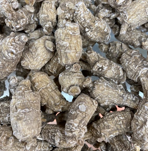 美國花旗参原尾泡 (限香港发貨) 每両230元（每両约37.5克）
