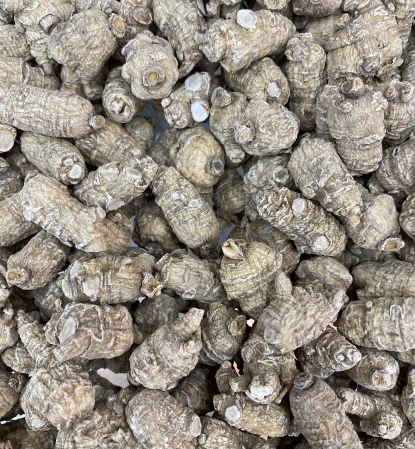美國花旗参小三半原尾泡 (限香港发貨) 每両(約37.5克)250元